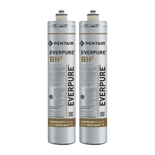 Everpure BH2 Replacement Filter Cartridge 0.5 GPM (2-PACK)