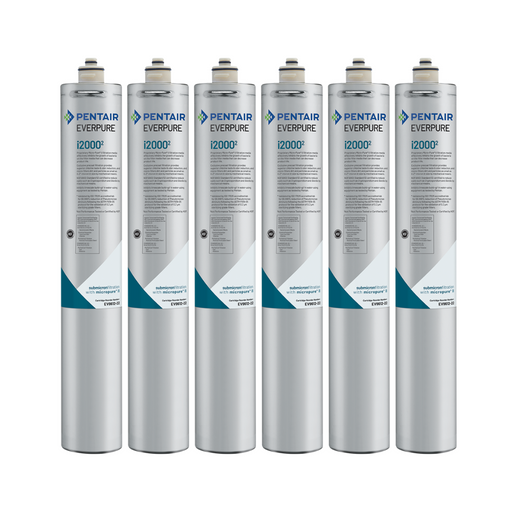 Everpure EV9612-22 Insurice i20002 Filter Cartridge 6-Pack