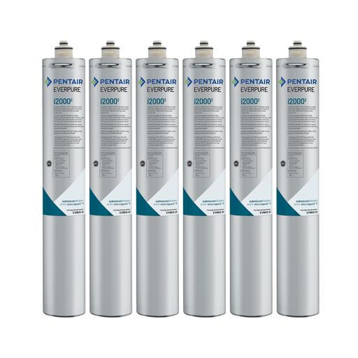 Everpure EV961227 Insurice i20002 Filter Cartridge 6Pk - Vita Filters