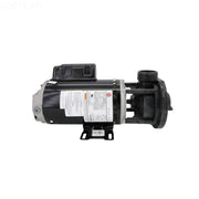 Gecko Aqua Flo Flowmaster FMCP 1.5 HP Spa Pump 2 Speed 48Y 115V 02615000 - 1010 – Vita Pool Supply