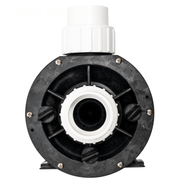 Gecko Circ - Master CP 1/8 HP Spa Circulation Pump 1 - Speed 48Y 230V (02593001 - 2010) – Vita Pool Supply