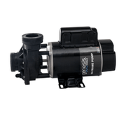 Genesis 2 HP 2 - Speed Above Ground Pump, Side Discharge, 48 - Frame, 3' Twist - lock Cord, GPSD101TBY / SD - 10 - 2 - T, 3 - Year Warranty – Vita Pool Supply