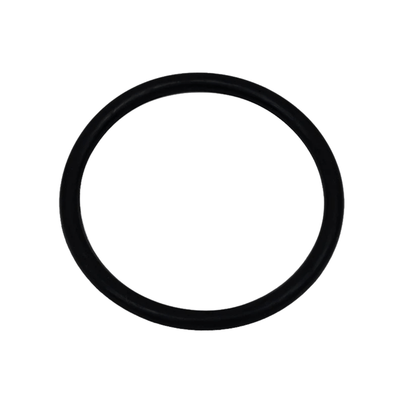 Genuine Solaxx / PureChlor O - Ring GNR00009 – Vita Pool Supply