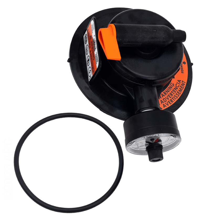 Hayward DEX2420MAR2 ProGrid Vertical Grid DE Filter Manual Air Relief Assembly – Vita Pool Supply