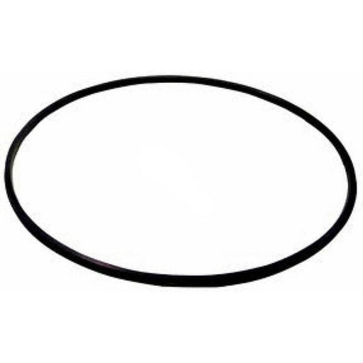 Hayward Filter Tank O - Ring, Metal Reinforced (DEX2422Z2) – Vita Pool Supply