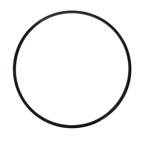 Hayward Filter Tank O - Ring, Metal Reinforced (DEX2422Z2) – Vita Pool Supply