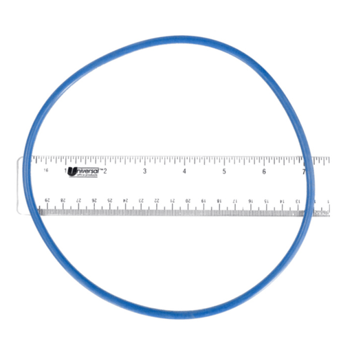 Hayward GMX600F ProSeries Valve Tank O - Ring – Vita Pool Supply