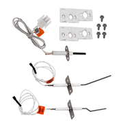 Hayward Ignitor & Flame Sensor HDXFIGFS002 – Vita Pool Supply