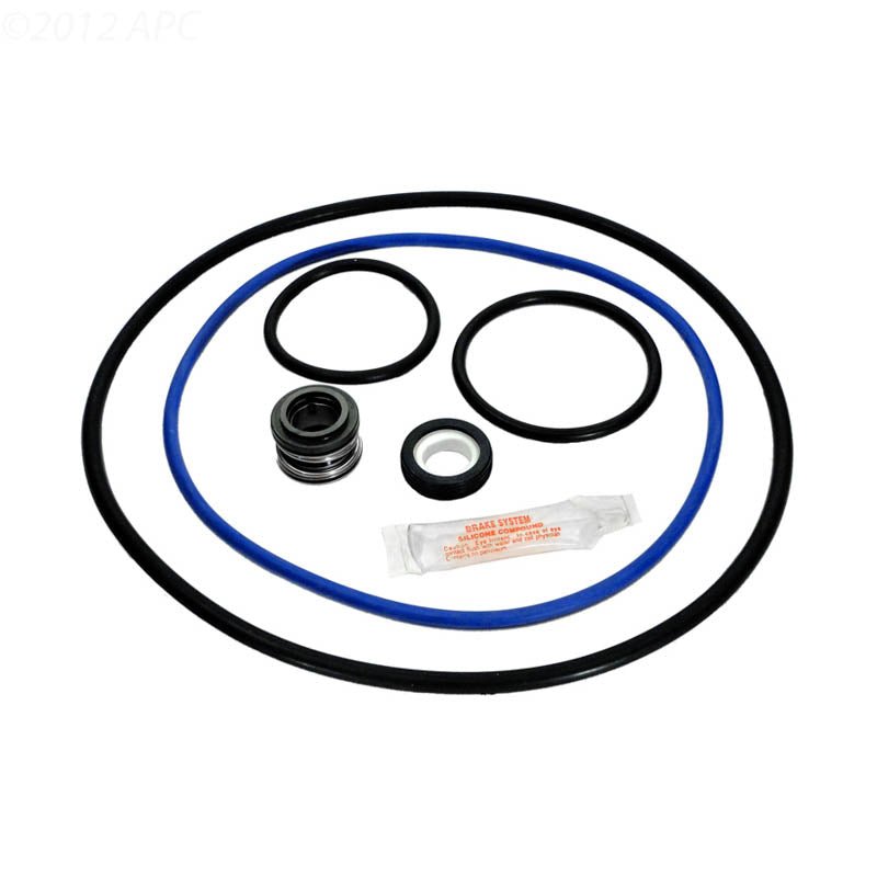 Hayward Seal & Gasket Kit for Hayward Northstar Full - Rated Pool Pumps (APCK1064) – Vita Pool Supply