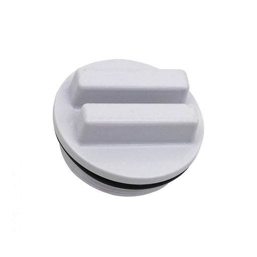 Hayward SP1022C 1.5" Plug with O - Ring – Vita Pool Supply