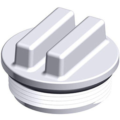 Hayward SP1022C 1.5" Plug with O - Ring – Vita Pool Supply
