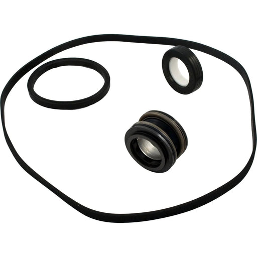 Hayward SPX3000TRA Super II Pump Seal Assembly Kit – Vita Pool Supply
