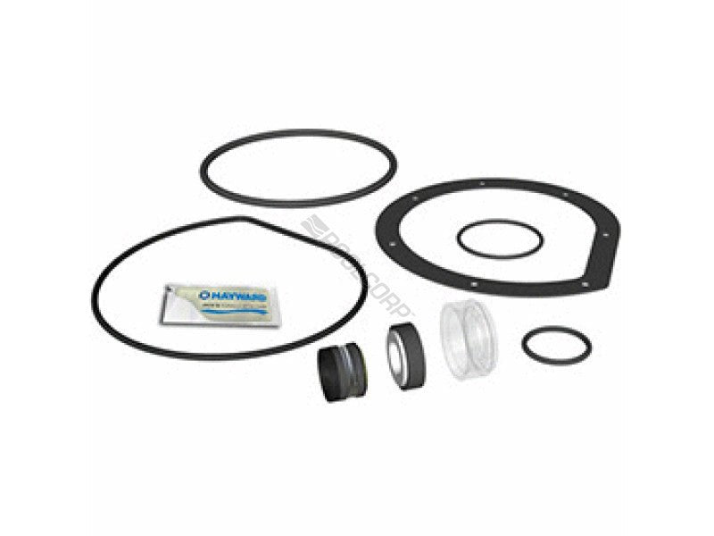 Hayward SPXHKIT12MTX PowerFlo Matrix Pump Overhaul Quick Fix H - Kit – Vita Pool Supply