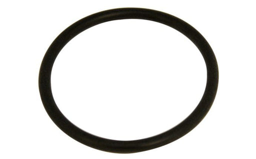 Hayward SX360Z1 MicroClear™/ ProSeries™ Bulkhead O - Ring – Vita Pool Supply
