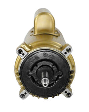Hayward Threaded Shaft Max - Rated Motor 2.5 HP 230V 60 Hz SPX1620Z1M – Vita Pool Supply