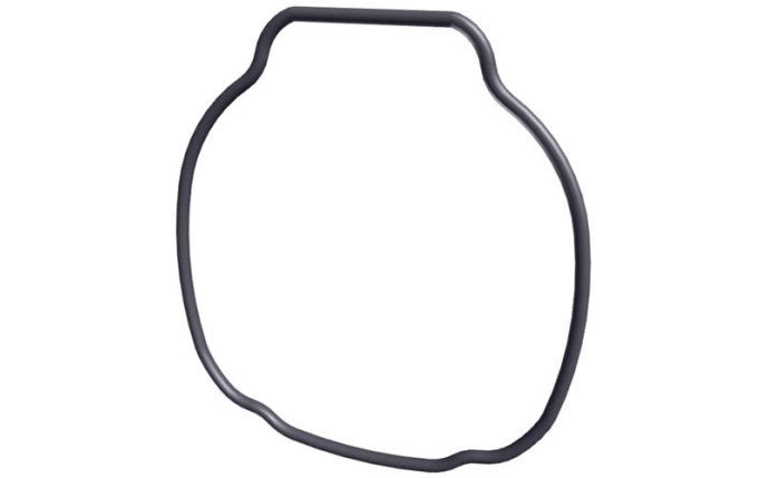 Hayward TriStar Housing O - Ring SPX3200T – Vita Pool Supply