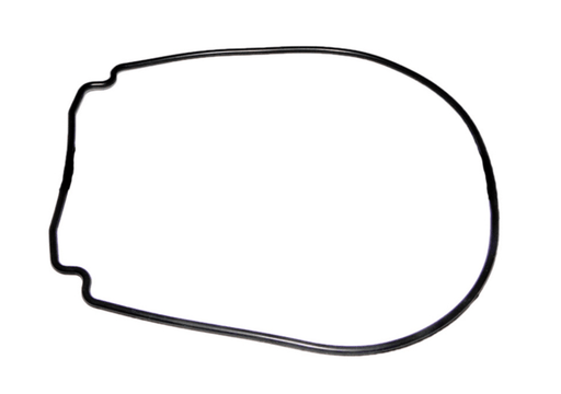 Jandy Body Gasket for JHP Series Pumps, R0555900 – Vita Pool Supply