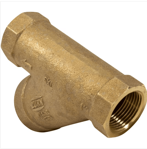 Jandy BRY Levelor 1" Y - Strainer – Vita Pool Supply