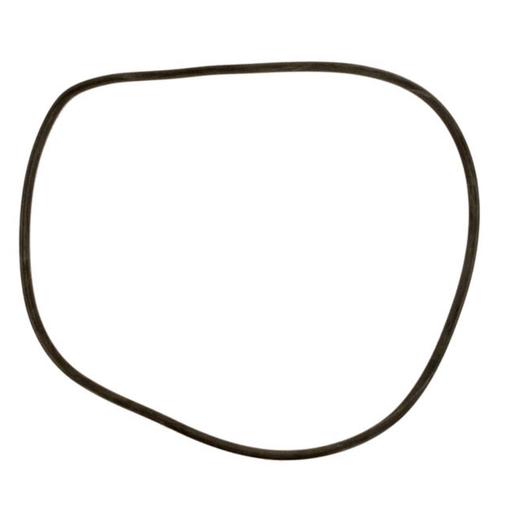 Jandy CV Series Filter Tank O - Ring, R0357800 – Vita Pool Supply