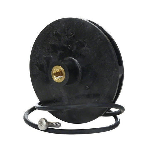 Jandy Impeller and Screw with O - Ring, R0479605 – Vita Pool Supply