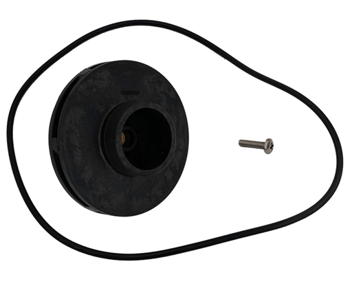 Jandy Impeller with Screw and Backplate O - Ring, R0807200 – Vita Pool Supply