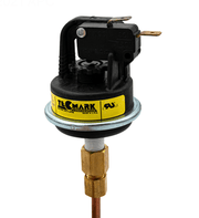 Jandy R0322900 Hi - E2 Heater Pressure Switch & Syphon Loop Assembly – Vita Pool Supply
