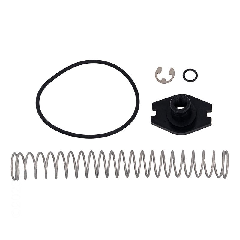 Jandy R0453900 Bypass Polymer Adjustable Spring Replacement Kit – Vita Pool Supply