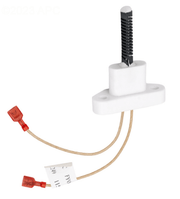 Jandy R0457503 Hi - E2 Igniter Assembly with Gasket – Vita Pool Supply