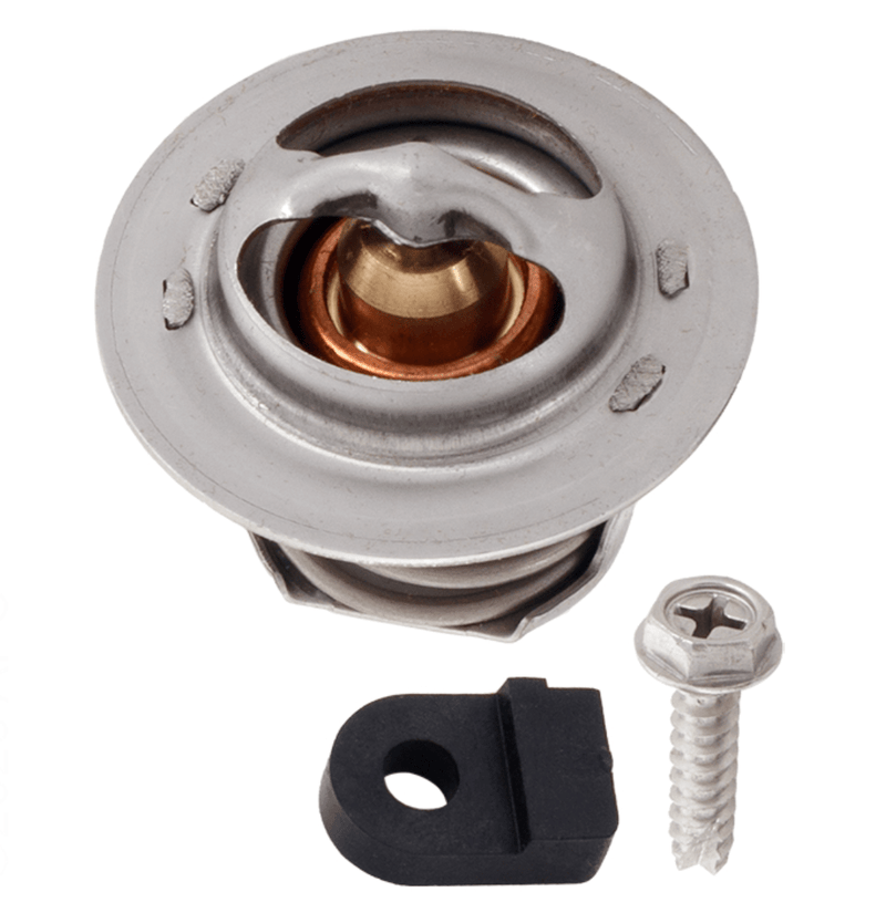 Jandy R0589700 JXi Thermal Regulator Valve – Vita Pool Supply