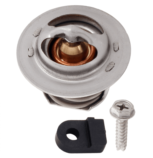 Jandy R0589700 JXi Thermal Regulator Valve – Vita Pool Supply