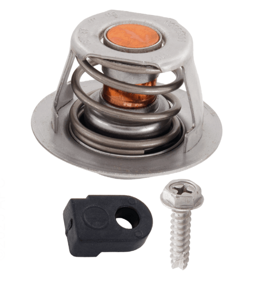 Jandy R0589700 JXi Thermal Regulator Valve – Vita Pool Supply
