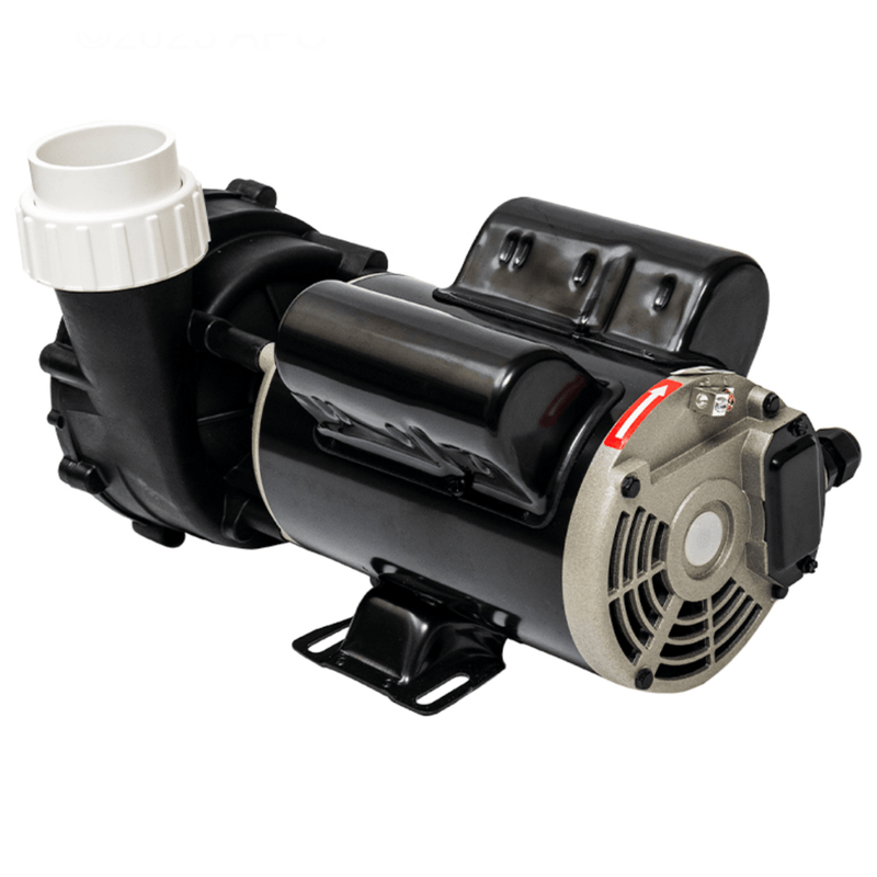 LX 1HP 2SP 10.3A 48FR 2” 115V Spa Pump (10 - 48WUA1001) – Vita Pool Supply