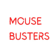 Mouse Busters Pool Heater Liquid Rodent Protectant, MOBMBHR – Vita Pool Supply