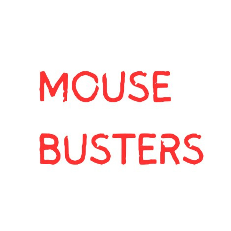 Mouse Busters Pool Heater Liquid Rodent Protectant, MOBMBHR – Vita Pool Supply