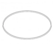 Paramount 005 - 302 - 0100 - 00 Water Valve Base O - Ring – Vita Pool Supply