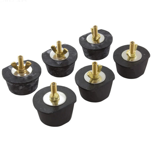 Paramount 2" Valve Winter Plug, 6 - Pack, 004302167200 – Vita Pool Supply