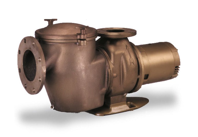 Pentair 011660 C - Series CHK - 150 15 HP 220V 440V 3 - Phase High Head Pump – Vita Pool Supply
