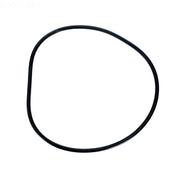 Pentair 071442Z Tank O - Ring Nautilus Plus – Vita Pool Supply