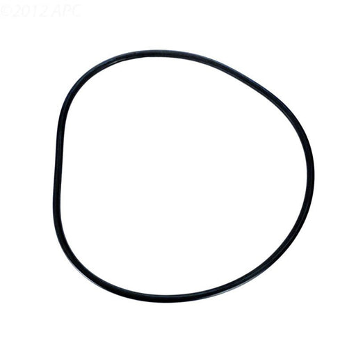 Pentair 071442Z Tank O - Ring Nautilus Plus – Vita Pool Supply