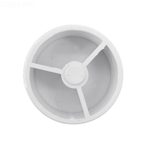Pentair 08655 - 0017 2" MPT Skimmer Check Valve – Vita Pool Supply