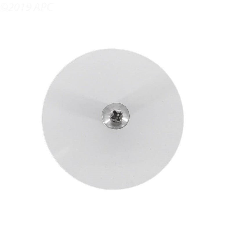 Pentair 08655 - 0017 2" MPT Skimmer Check Valve – Vita Pool Supply