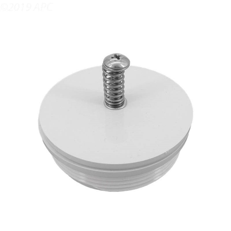 Pentair 08655 - 0017 2" MPT Skimmer Check Valve – Vita Pool Supply