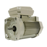Pentair 1.0HP TEFC Motor 1 Ph 115/208 - 230V 354821S for SuperFlo & WhisperFlo Pumps – Vita Pool Supply