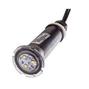 Pentair 150' Cord GloBrite® White LED Light 602105 - NEW VERSION – Vita Pool Supply