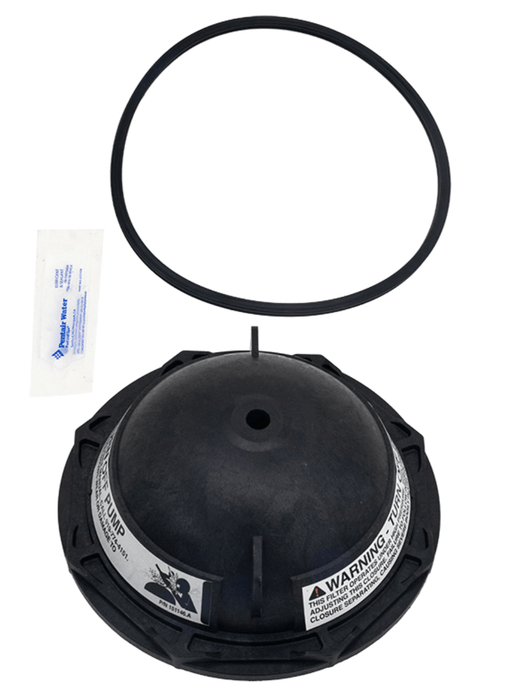 Pentair 152519Z Pacfab 6" Triton Dome Buttress – Vita Pool Supply