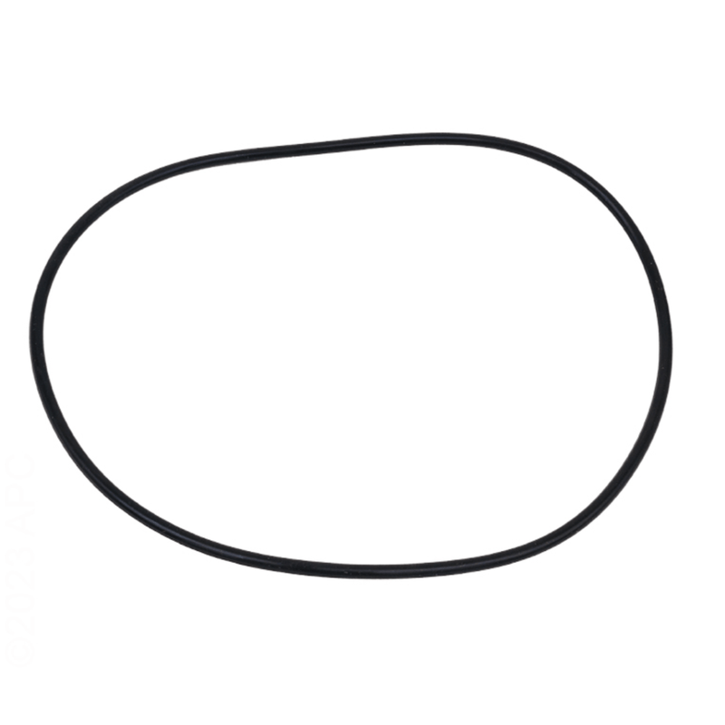 Pentair 154493 O - Ring Closure, Black – Vita Pool Supply