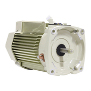 Pentair 1.5HP Motor w/o Drive 115/208 - 230V 353134S for SuperFlo VS/VST SuperMax Pre - 2020 – Vita Pool Supply