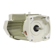 Pentair 1.5HP SuperFlo VST Almond Tan TEFC Pump Motor 356286S (after - 2020) – Vita Pool Supply