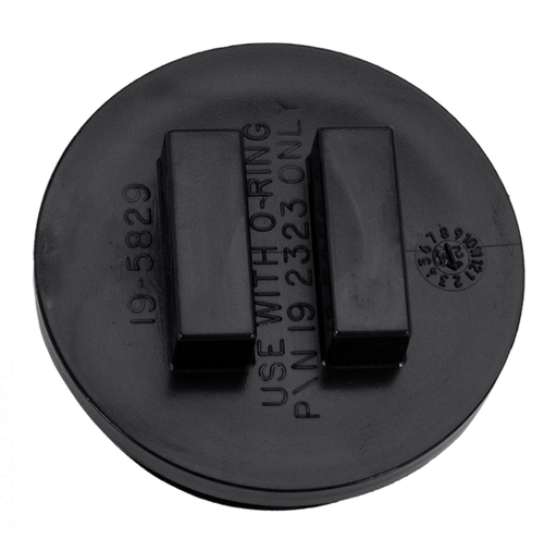 Pentair 195830 2" FNS24 All Purpose Plug with O - Ring – Vita Pool Supply
