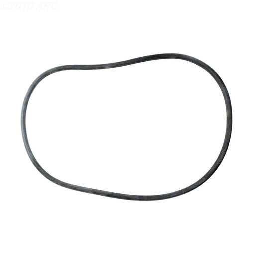 Pentair 24850 - 0008Z 21" Tank O - Ring for System 3® Filters – Vita Pool Supply